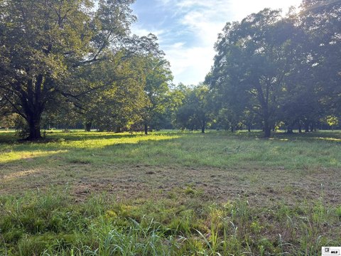 LAND - Tallulah, LA
