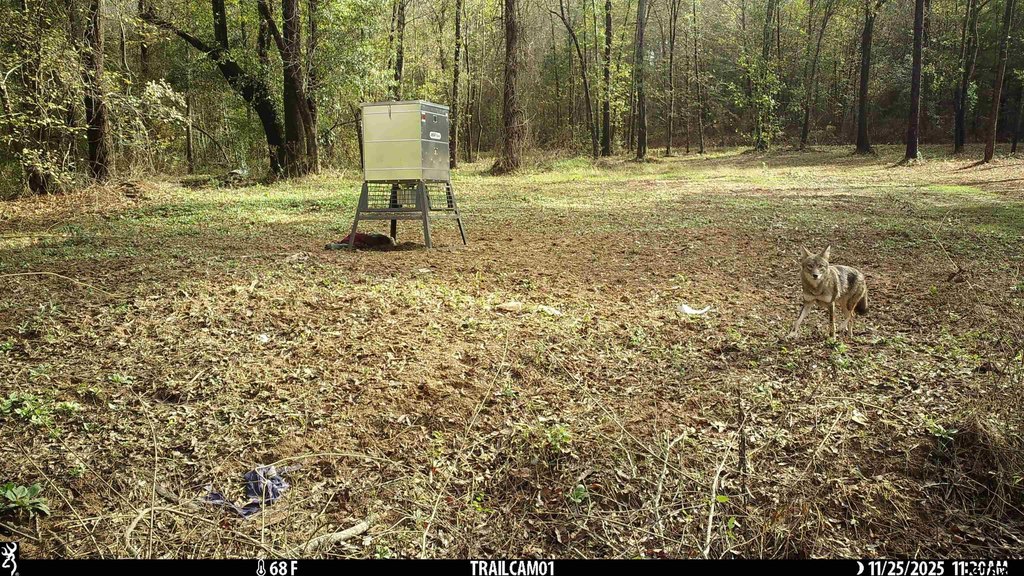 Picture 18