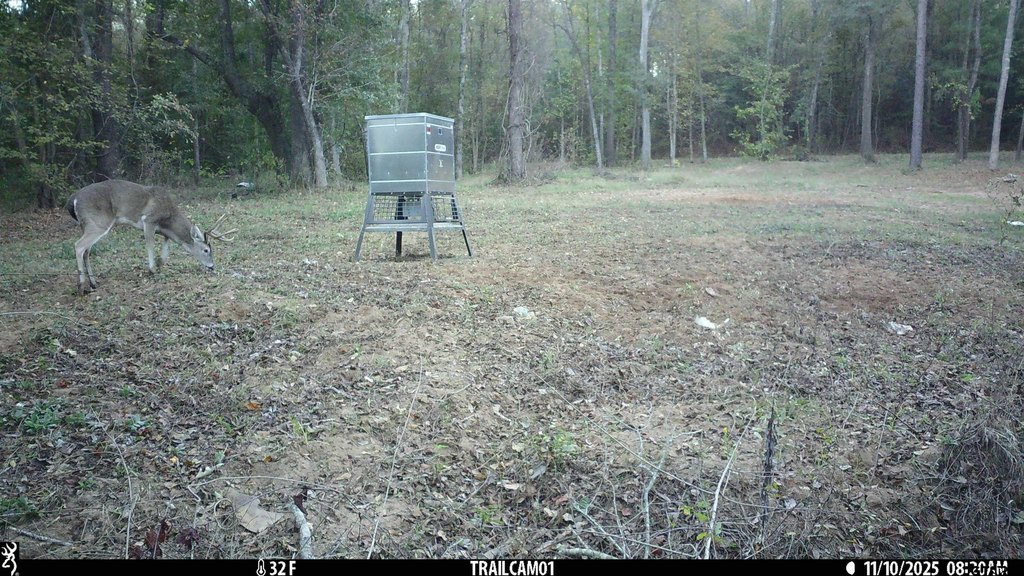 Picture 10