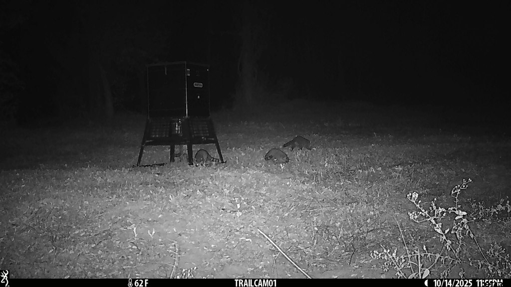 Picture 21