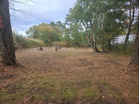 Chincoteague Island Land Opportunity