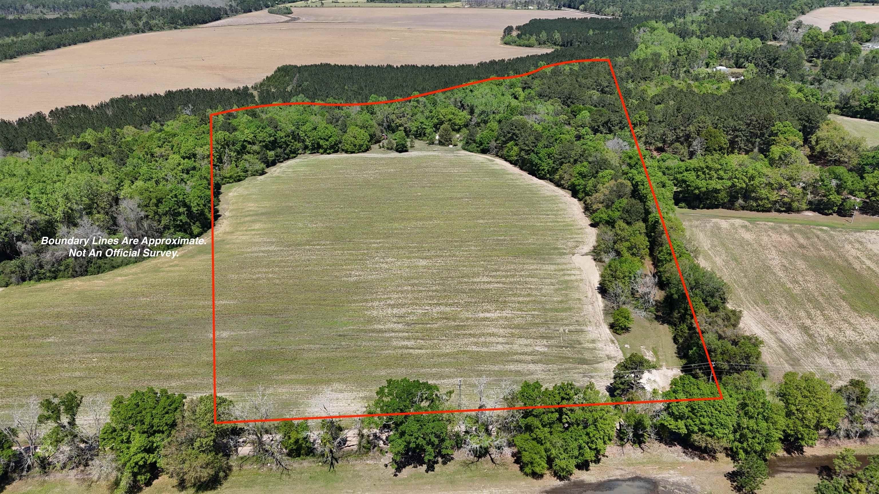 Versatile Land Tract in Thomas County