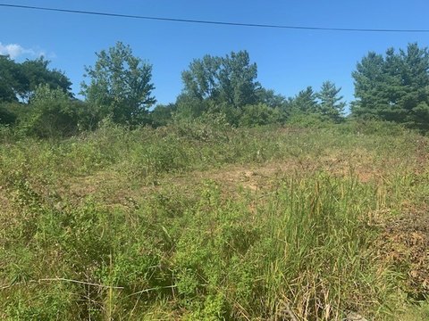 LAND - Wadsworth, IL
