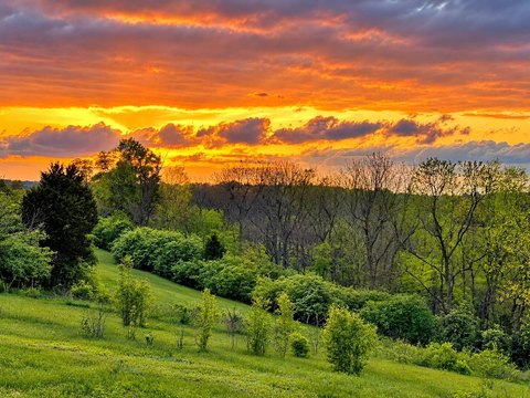 Land, Richmond, KY