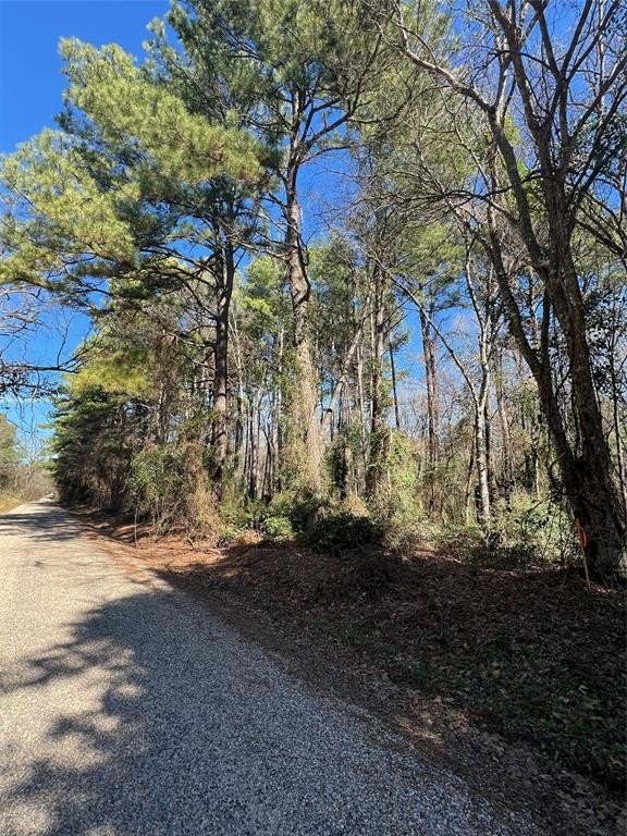 20 Acres Near Lake Bob