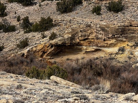 LAND - St. Johns, AZ
