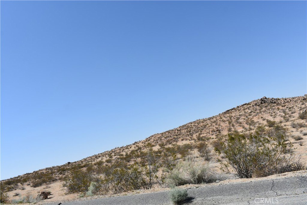 Picture 6