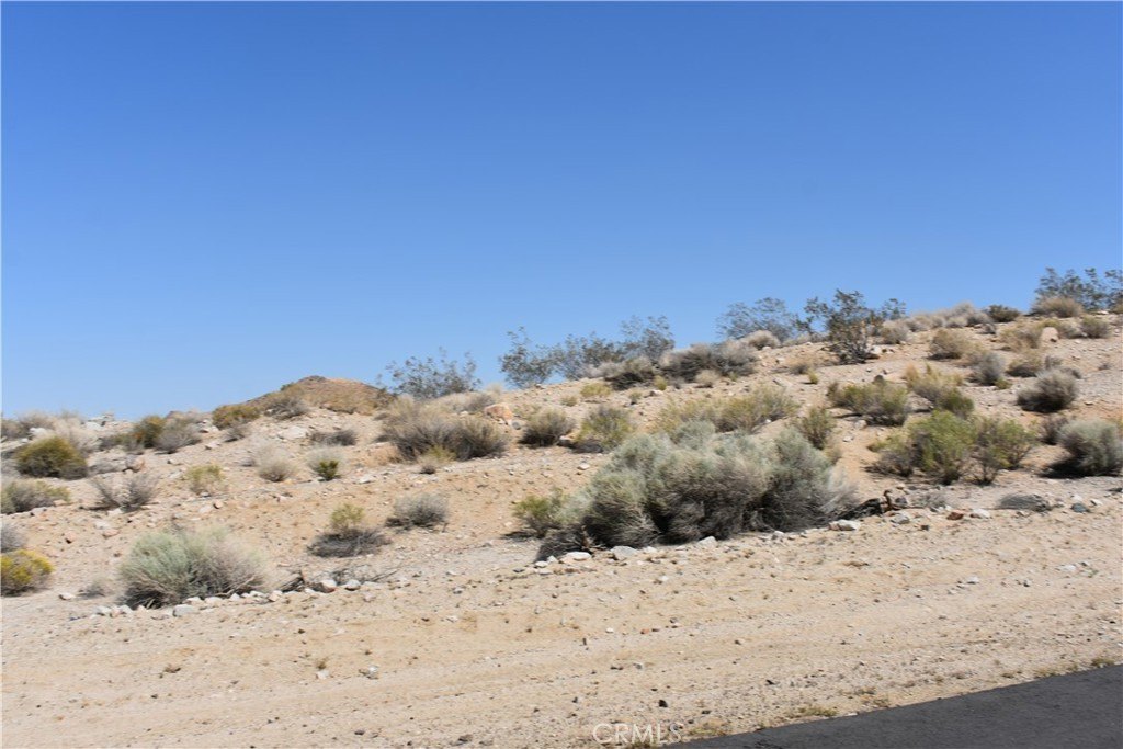 Picture 12
