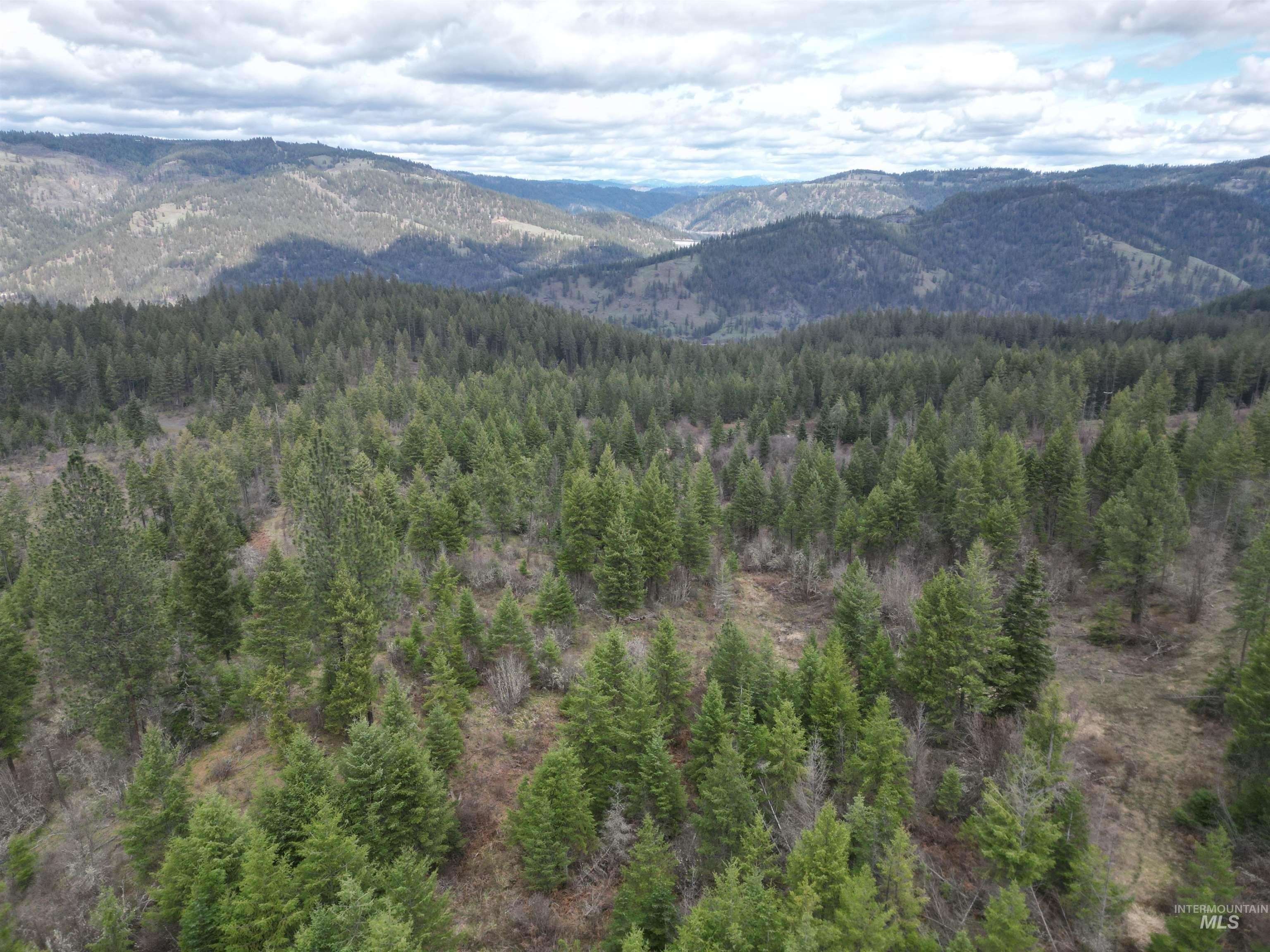 Orofino Land with Sweeping Views