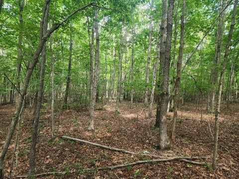 Appomattox Wooded Lot For Sale