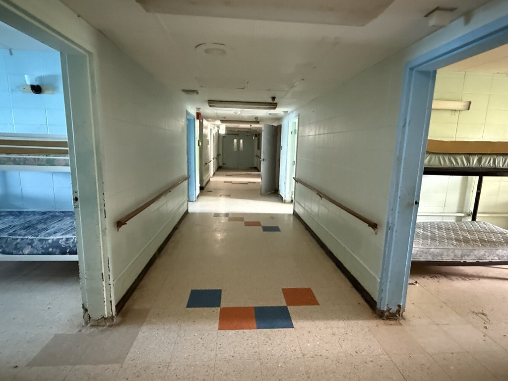 Picture 41