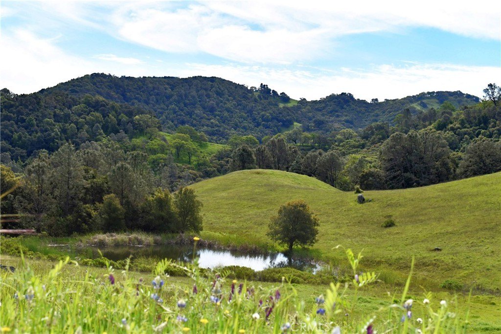 Stunning Paso Robles Acreage