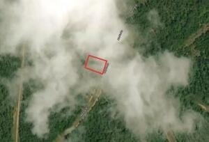 Land Near Lake in Arkansas