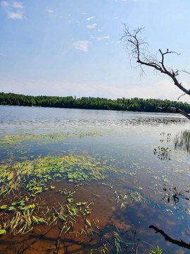 Land, Lac du Flambeau, WI