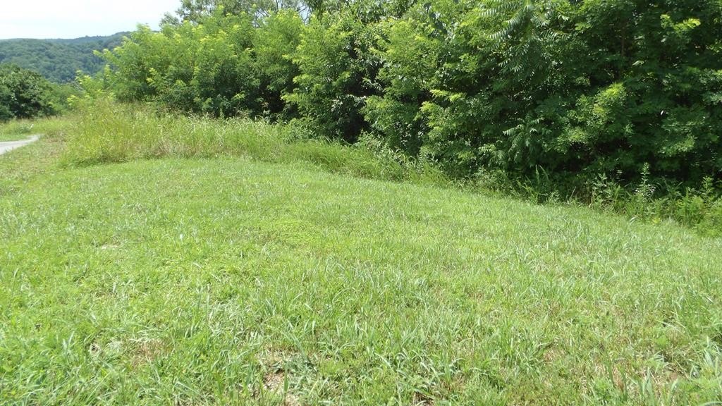 Hilham, TN Wooded Lot