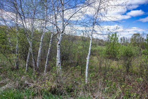 70 Acres Recreational Land Paradise
