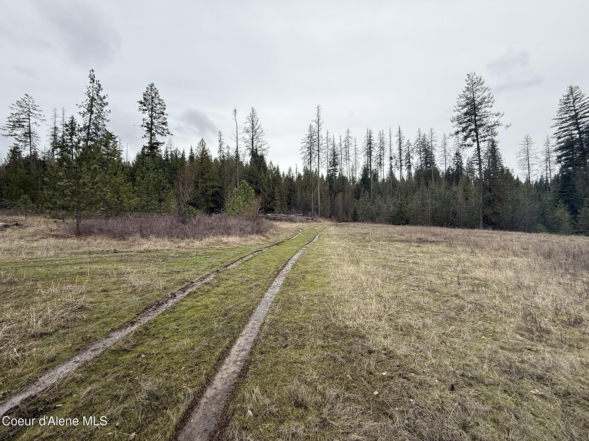 20 Acres with Two Wells