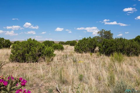 30+ Acre Land with Views