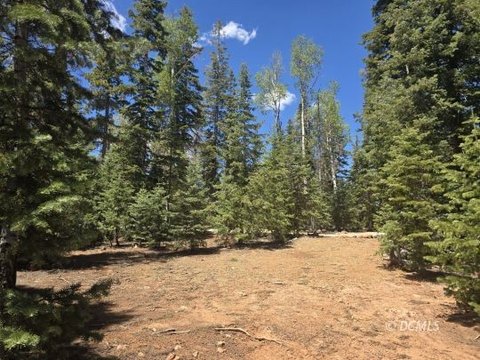 Duck Creek Village Homesite