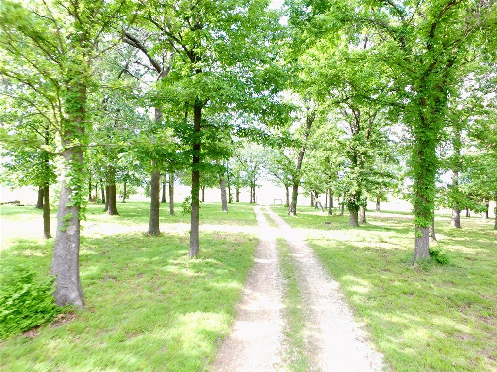 Picture 8