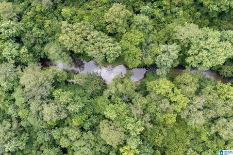 LAND - ASHVILLE, AL
