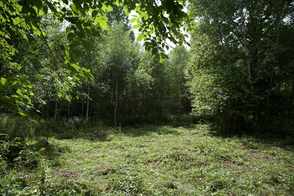 Picture 3