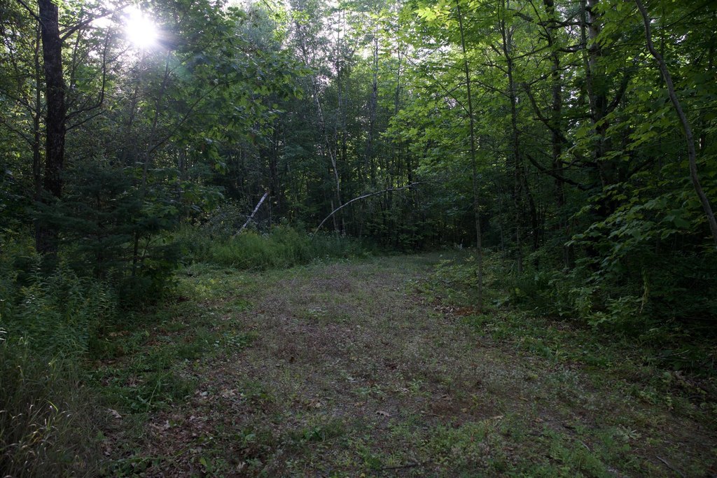 Picture 15