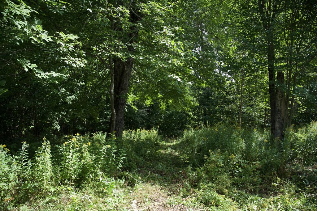 Picture 7