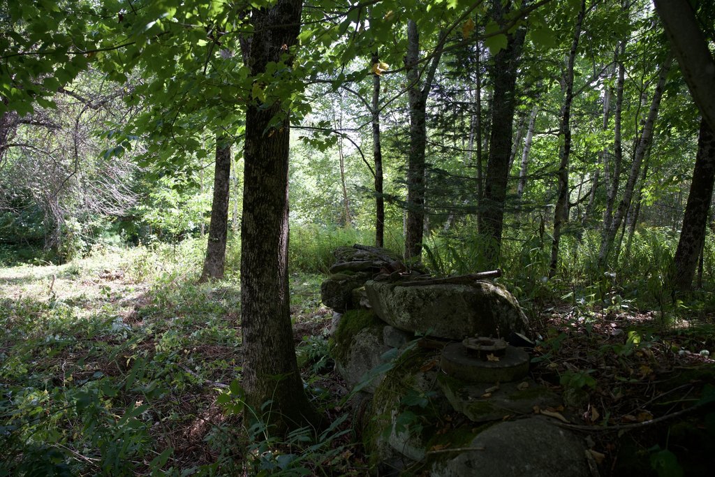 Picture 9