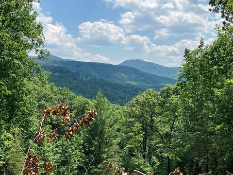 Land, Murphy, NC
