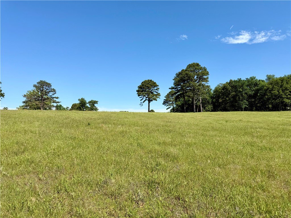 25.5 Acres Pastureland Near Lake