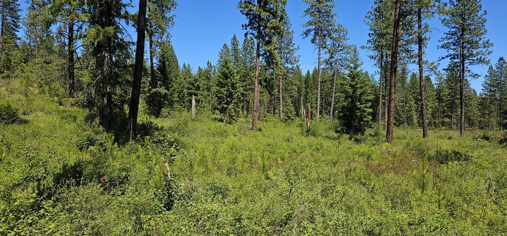 Picture 31