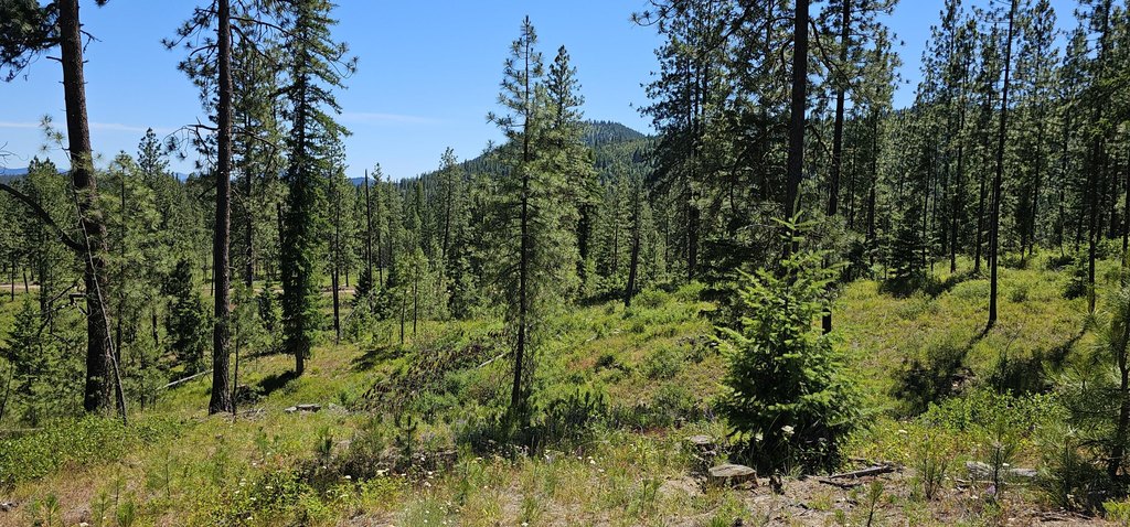 Picture 24
