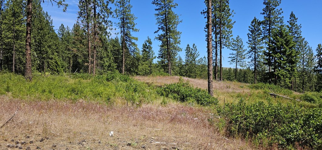 Picture 21