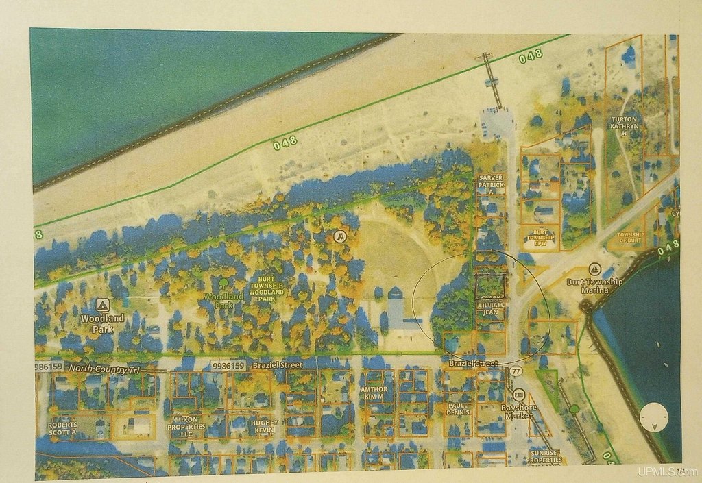 Picture 16