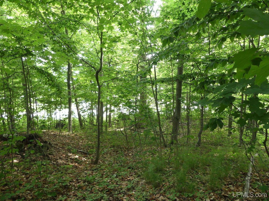 Picture 13