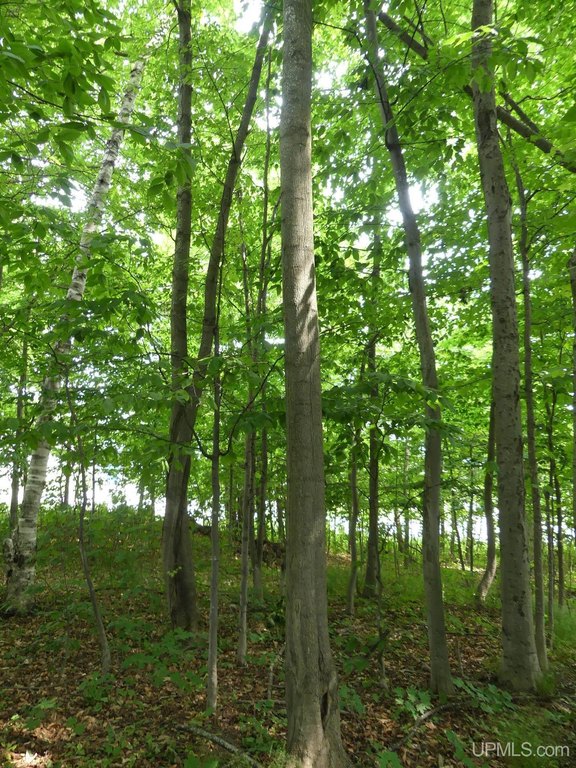Picture 10