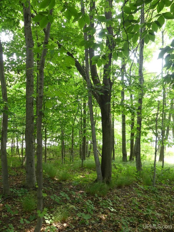 Picture 11