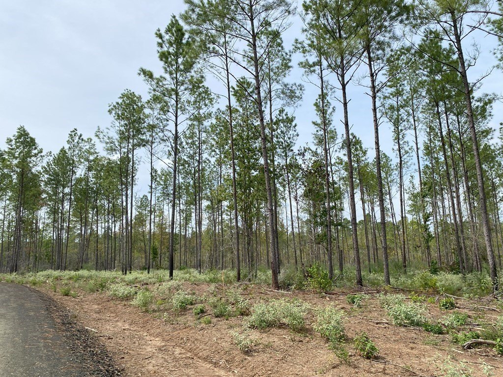 Picture 6