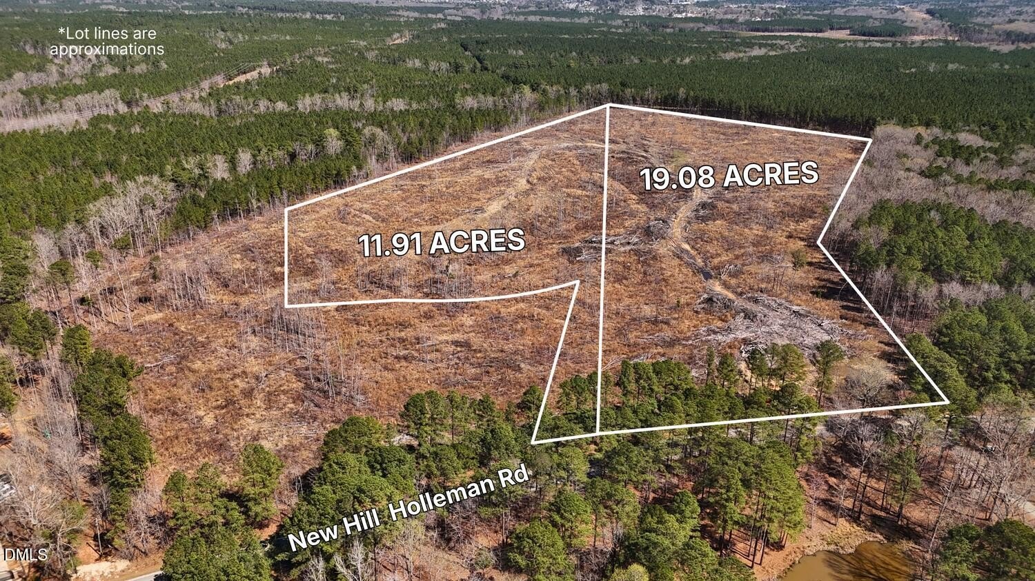 31 Acres of Raw Land