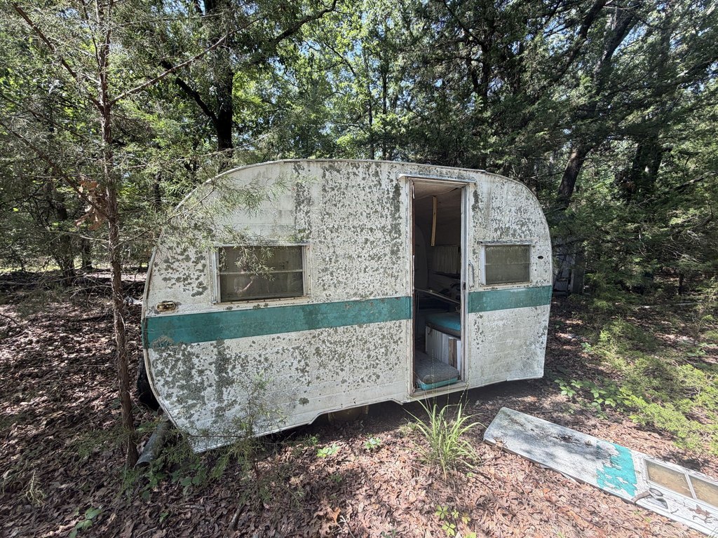 Picture 25