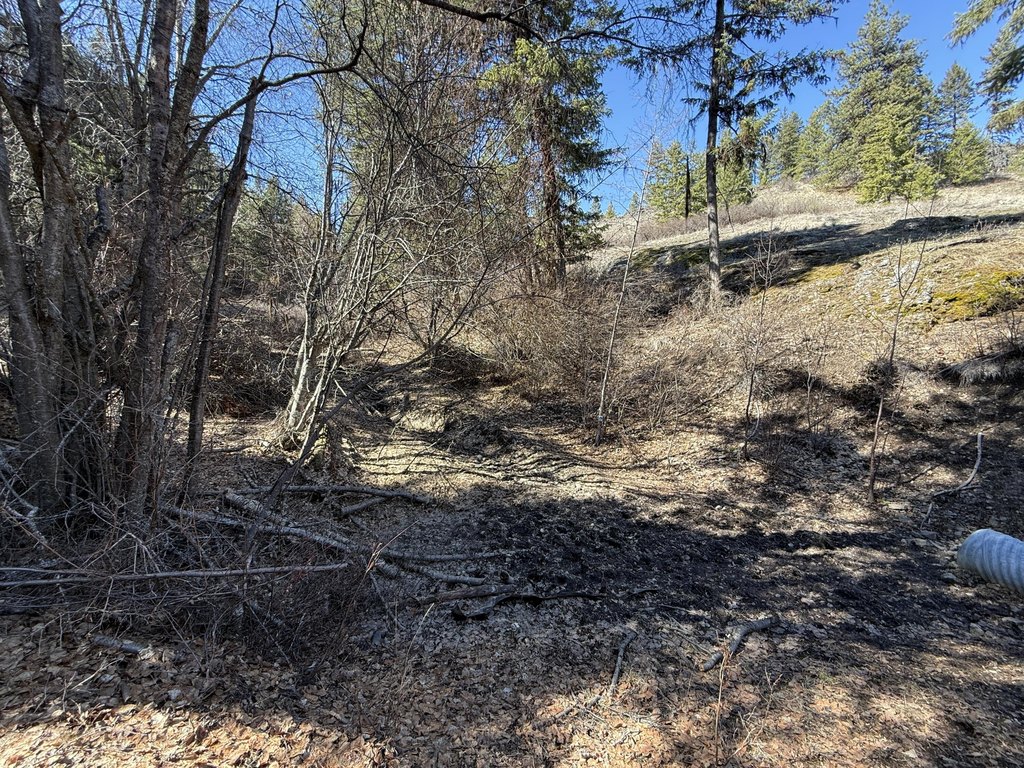Picture 3