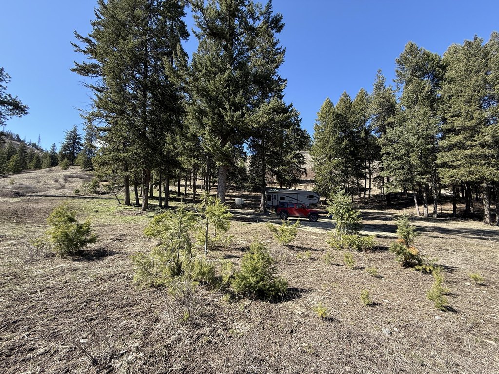 Picture 14