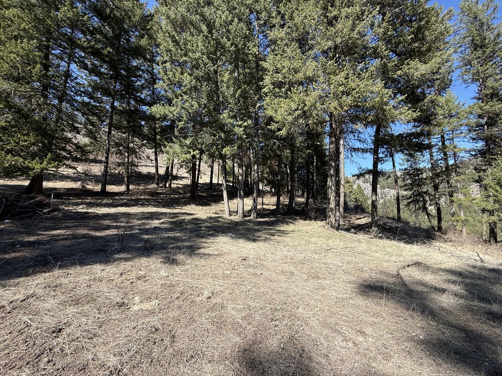 Picture 18