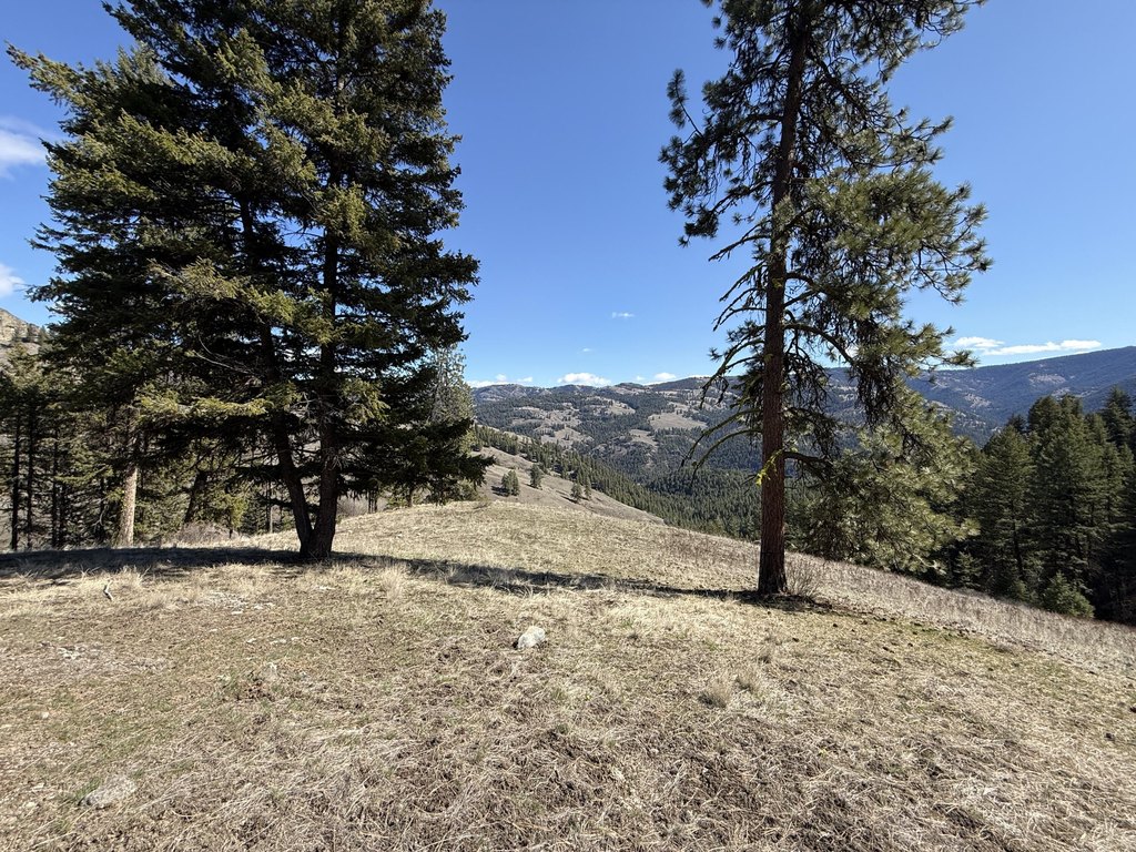 Picture 16