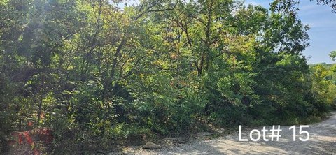 Wooded Lot Near Tanglewood Lake