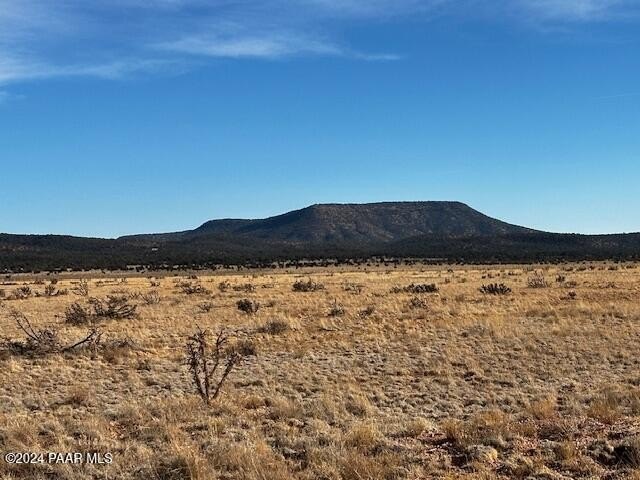 Seligman, AZ Rural Land