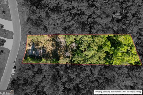 LAND - Kingsland, GA