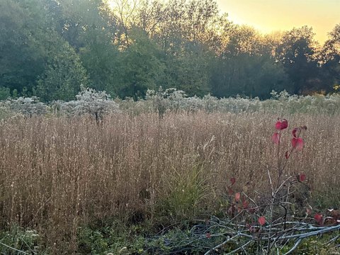 LOTS AND LAND, Holland, IN