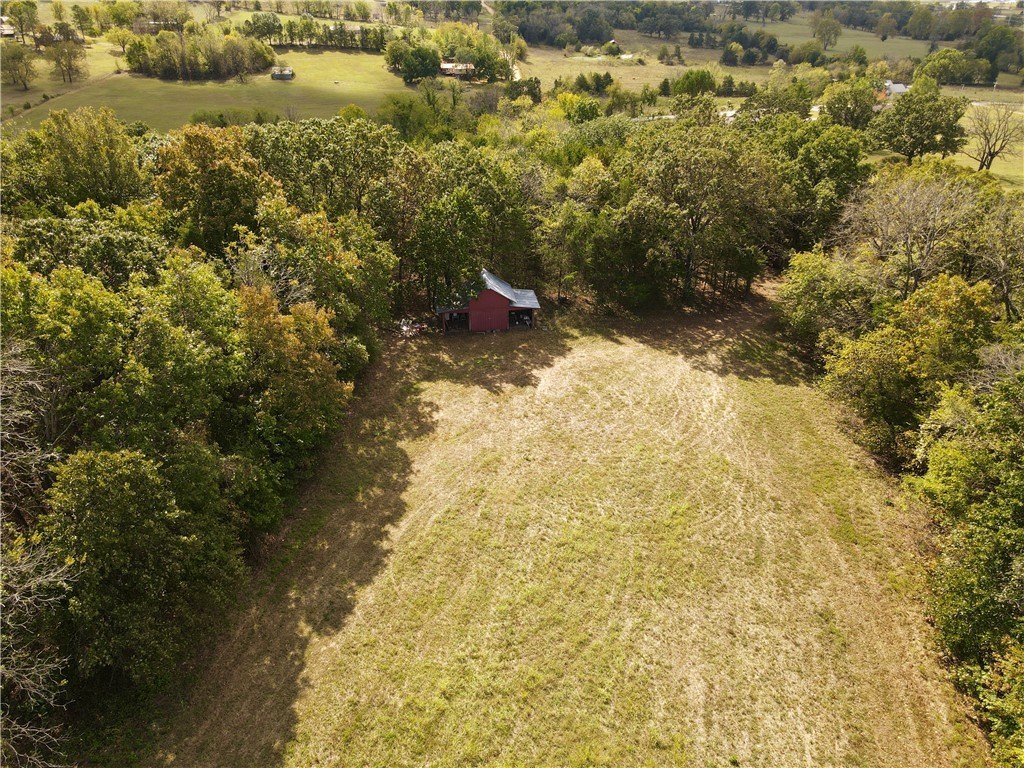 Picture 4